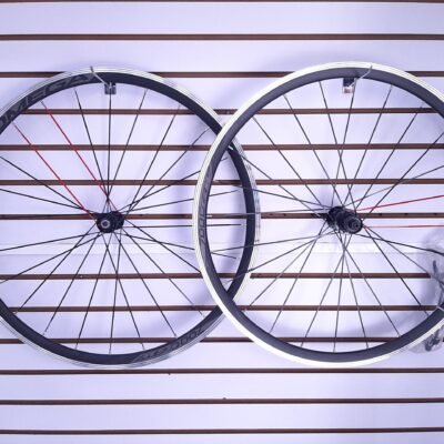 Rines OMEGA Par GW 700 Doble Pared