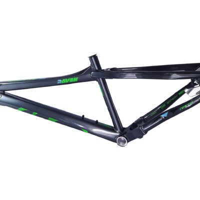 Marco RAVEN