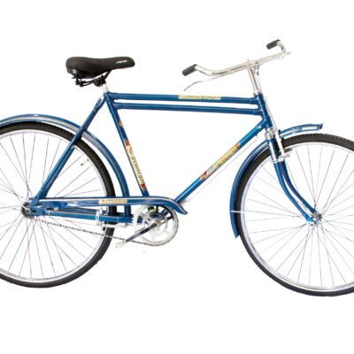 Bicicleta TURISMO EASTMAN Azul