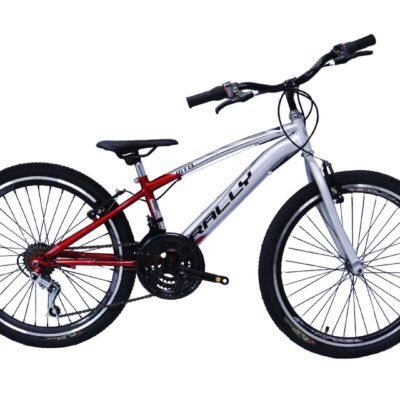 BICICLETA RIN 24 GRIS-ROJO