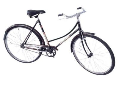 Bicicleta Turismo EASTMAN para Dama