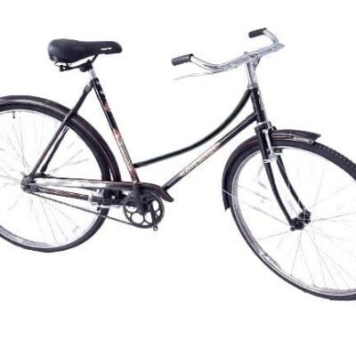 Bicicleta Turismo EASTMAN para Dama